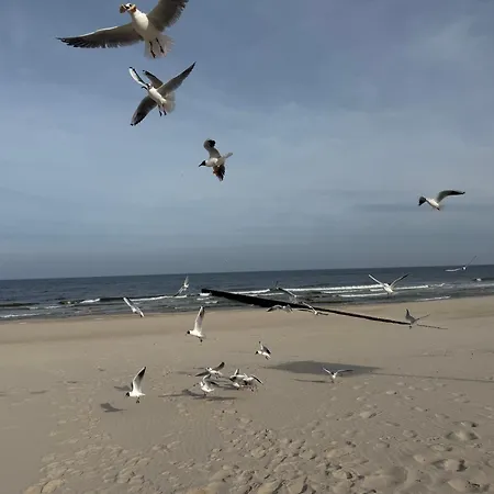 Apartament 115 Z Ogródkiem Przy Plaży